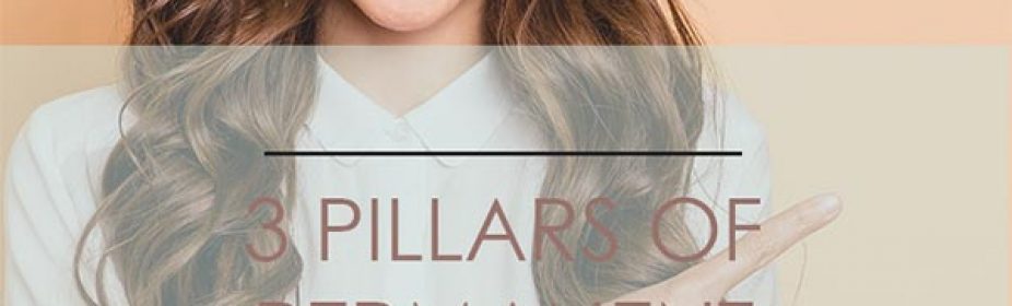 3 Pillars of Permanent Success